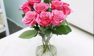 一束红玫瑰 一束红玫瑰