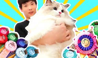 摸摸鱼战争模拟器 摸摸鱼战争模拟器