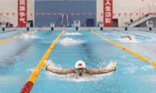 东京奥运会游泳金牌榜 东京奥运会游泳金牌榜